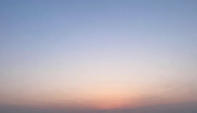 网络推广服务中成本控制的适用情况与限制
